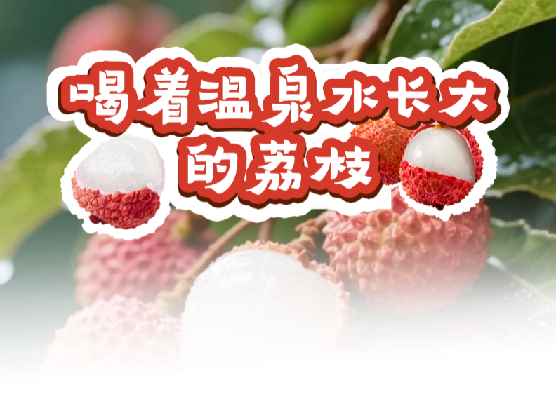 微信图片_2025-11-28_174323_649.png